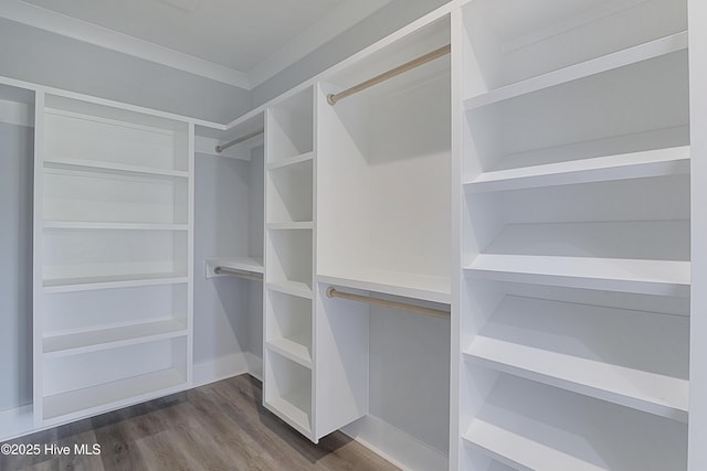 spacious closet featuring wood-type flooring