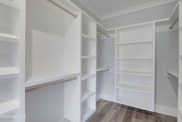 walk in closet featuring dark hardwood / wood-style floors