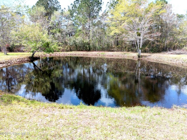 7010 Pinecliff Dr NE, Leland, NC 28451