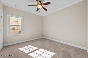 unfurnished room with ornamental molding, carpet, and baseboards