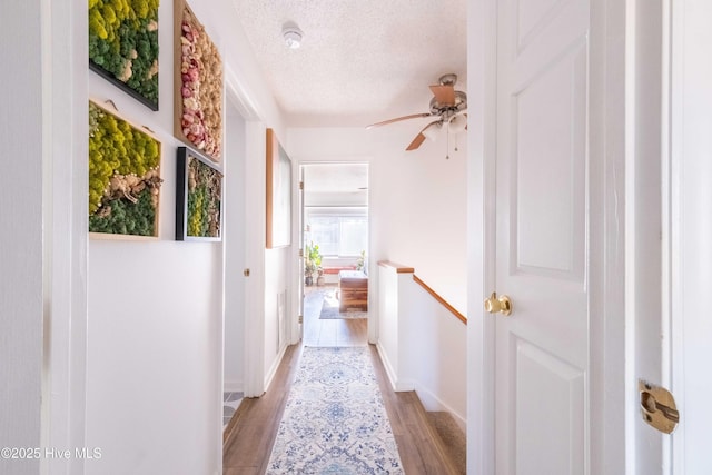 hall with a textured ceiling and light hardwood / wood-style floors