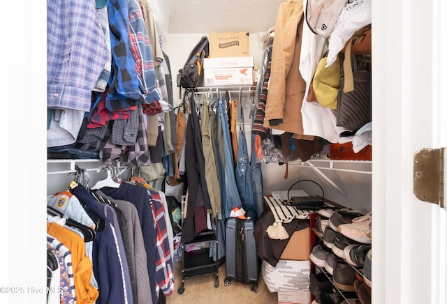 walk in closet featuring carpet floors