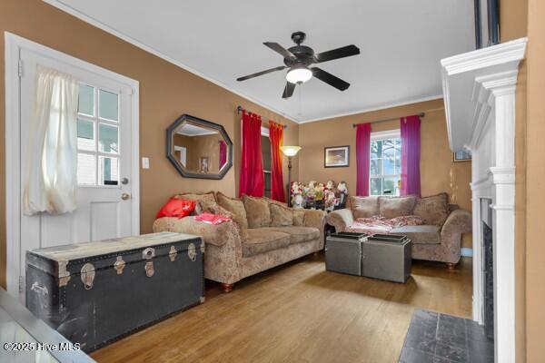 living room with dark hardwood / wood-style flooring, crown molding, and ceiling fan