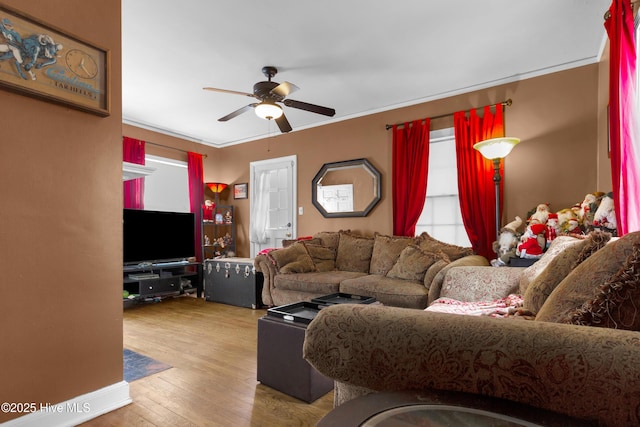 living room featuring crown molding, ceiling fan, and light hardwood / wood-style flooring