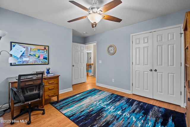 office featuring light hardwood / wood-style flooring and ceiling fan