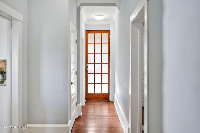 entryway with crown molding and wood-type flooring