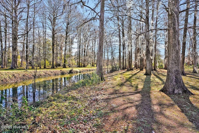 view of yard with a water view