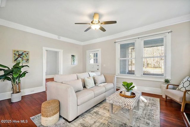 living room with crown molding, ceiling fan, and dark wood-type flooring