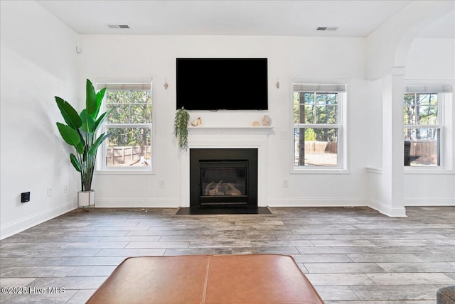 unfurnished living room with wood-type flooring and plenty of natural light