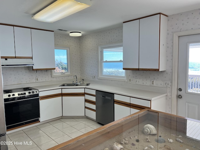 kitchen featuring dishwasher, white cabinetry, black electric range, and sink