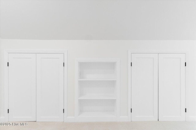 room details with built in shelves and carpet