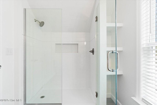 bathroom with plenty of natural light and a shower with shower door