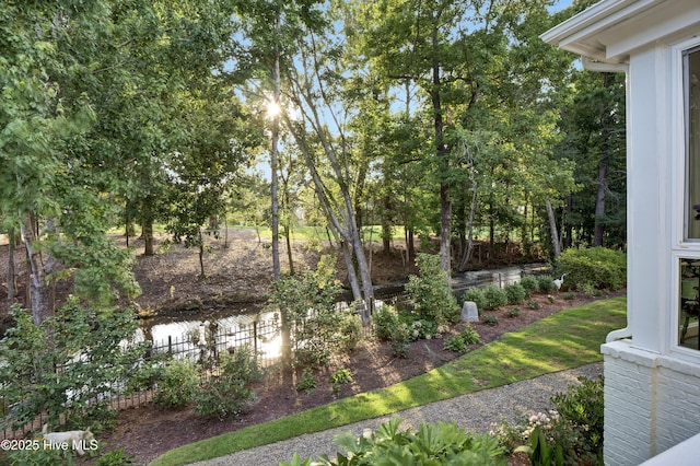 view of yard with a water view