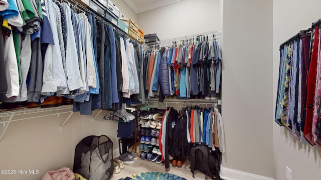 walk in closet featuring light hardwood / wood-style flooring