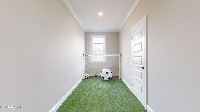 clothes washing area featuring carpet floors and ornamental molding