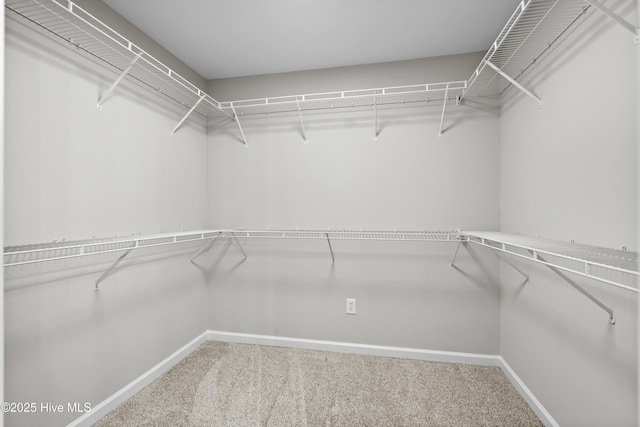 spacious closet with carpet