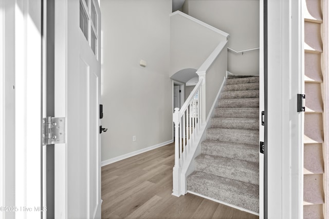 staircase with wood-type flooring