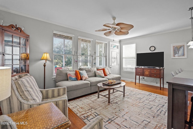 living room with crown molding, ceiling fan, and light hardwood / wood-style floors