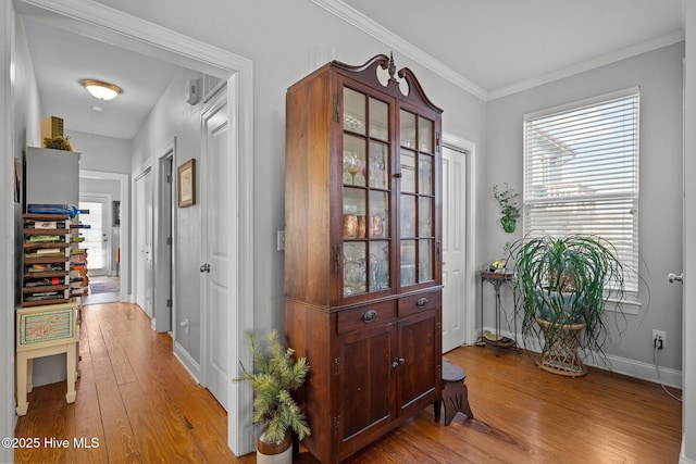 corridor featuring ornamental molding and light hardwood / wood-style flooring