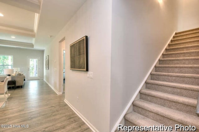 staircase with hardwood / wood-style flooring