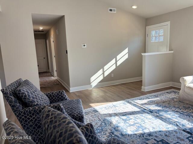 living room featuring wood-type flooring