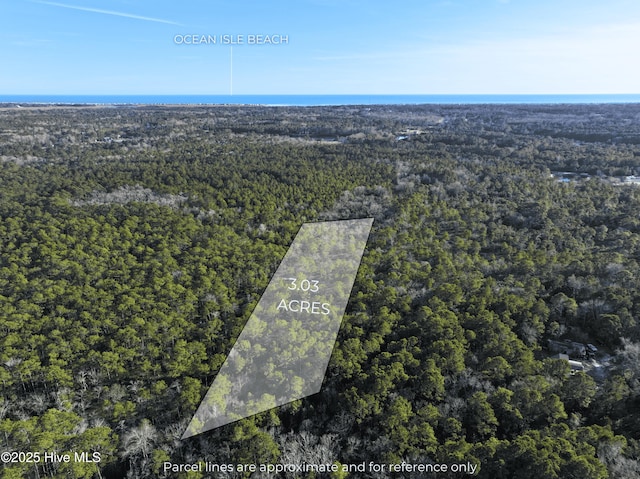 4551 Maple Hill Rd SW, Shallotte NC, 28470 land for sale