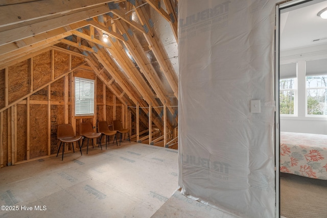 attic with plenty of natural light