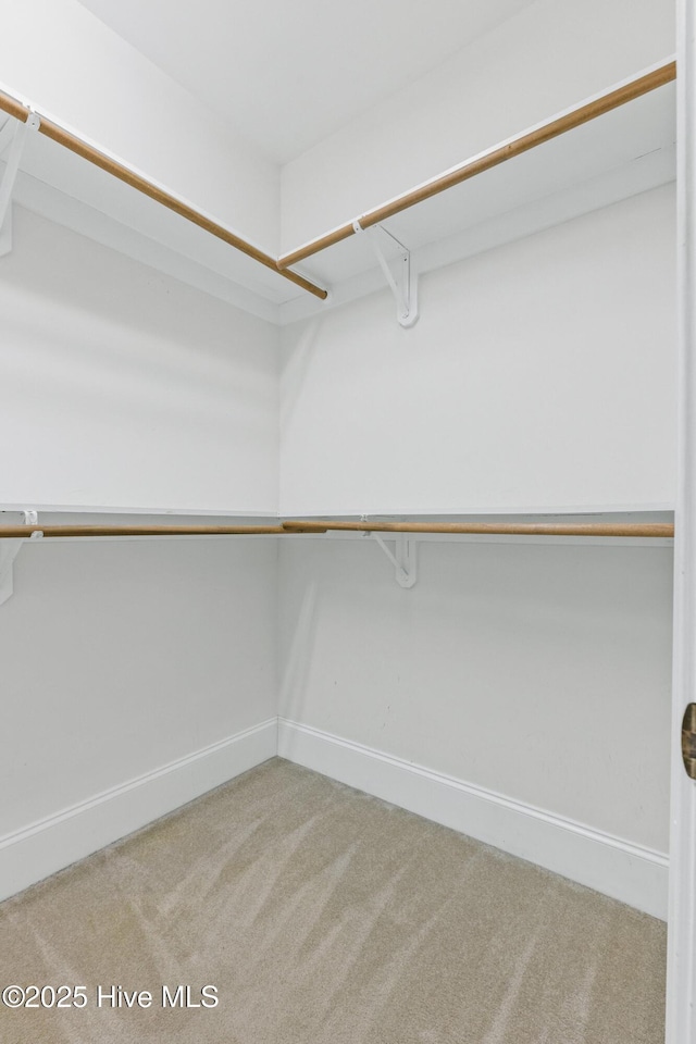 1824 Starfix Ter, Wilmington, NC 28405 - walk in closet featuring carpet floors