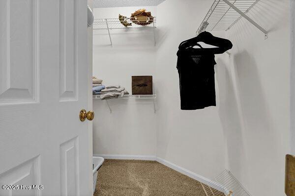 spacious closet featuring carpet floors