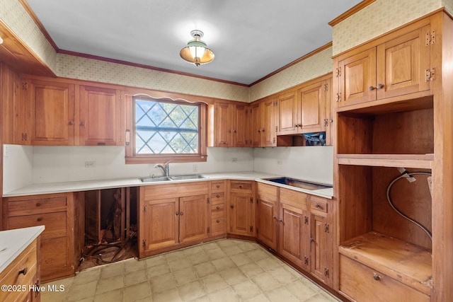 kitchen with sink and crown molding