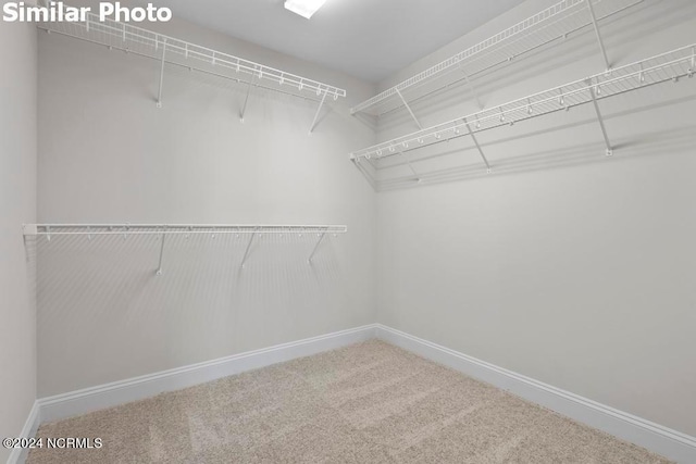 spacious closet featuring carpet flooring