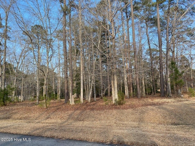 Listing photo 3 for 28 Island Dr, Chocowinity NC 27817