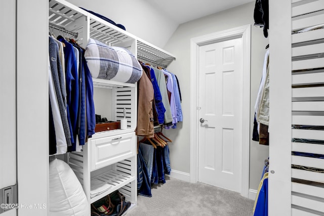 spacious closet with light carpet