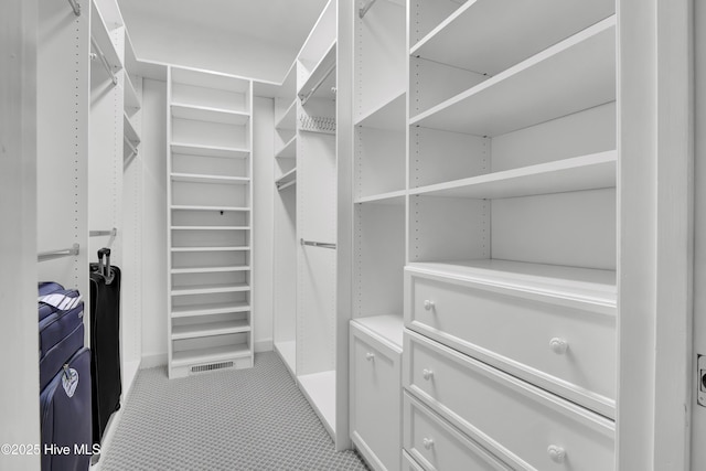 spacious closet featuring carpet