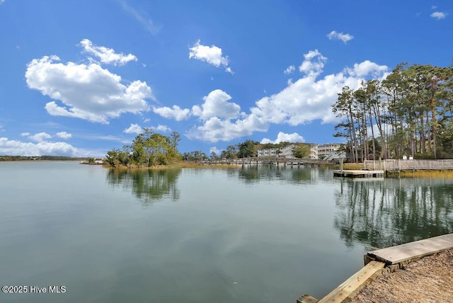 property view of water with a boat dock