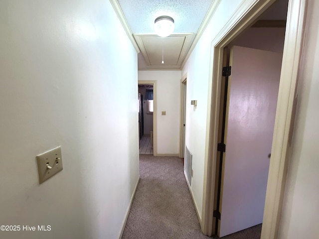 corridor featuring carpet floors and a textured ceiling