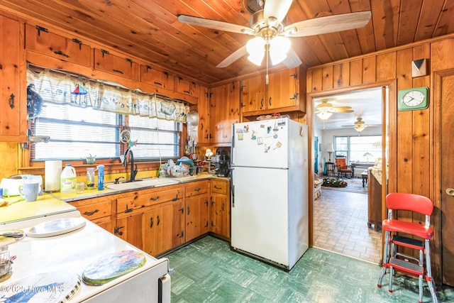 kitchen with white fridge, sink, wooden ceiling, and wood walls