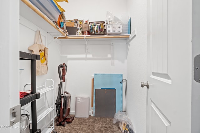 walk in closet with carpet floors