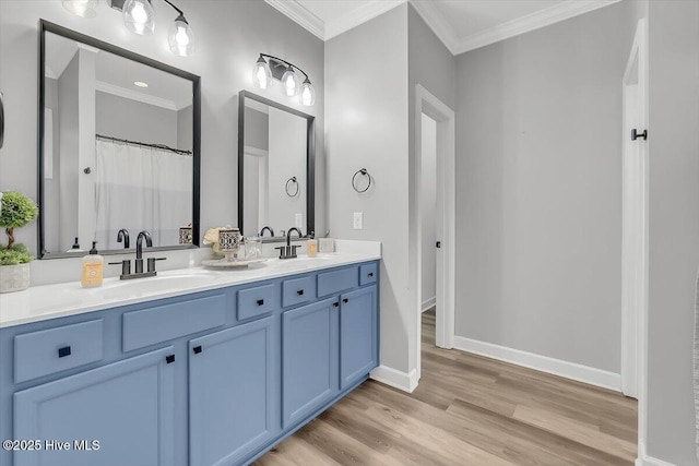 bathroom featuring crown molding, vanity, and wood-type flooring