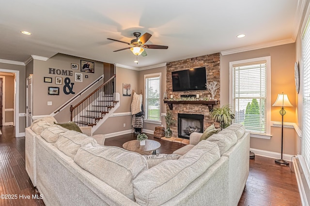 living room featuring dark hardwood / wood-style flooring, a fireplace, crown molding, and a wealth of natural light