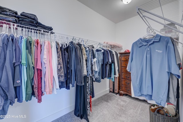 walk in closet featuring carpet floors