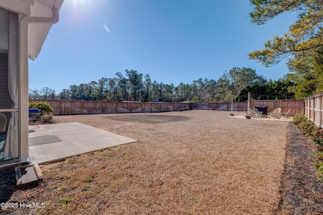 view of yard featuring a patio area