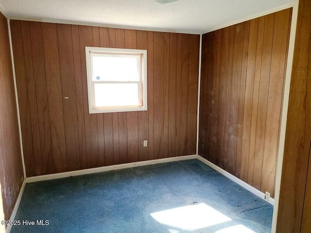 carpeted empty room with wood walls and baseboards