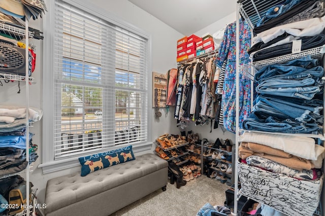 walk in closet with carpet flooring