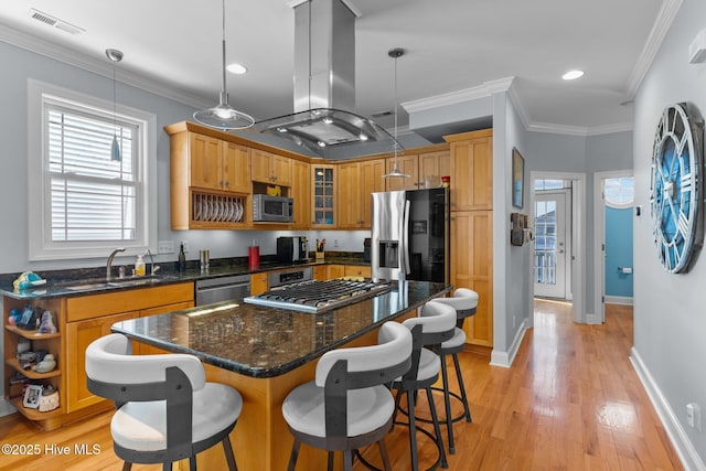 kitchen featuring stainless steel appliances, sink, hanging light fixtures, and island range hood