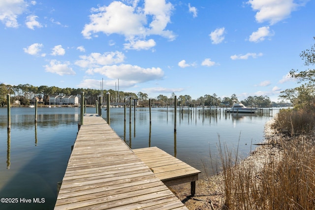 dock area with a water view