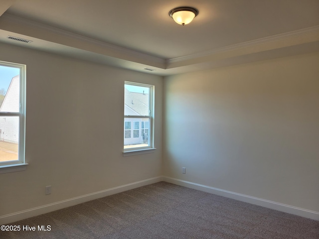 3709 W Cessna Way W Unit Ef 12, Wilson, NC 27896 - unfurnished room featuring ornamental molding, dark colored carpet, baseboards, and a tray ceiling