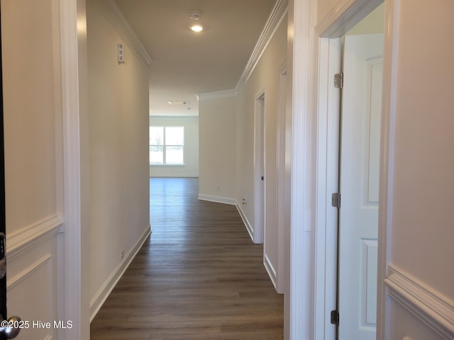 3709 W Cessna Way W Unit Ef 12, Wilson, NC 27896 - hallway featuring dark wood-type flooring, ornamental molding, and baseboards