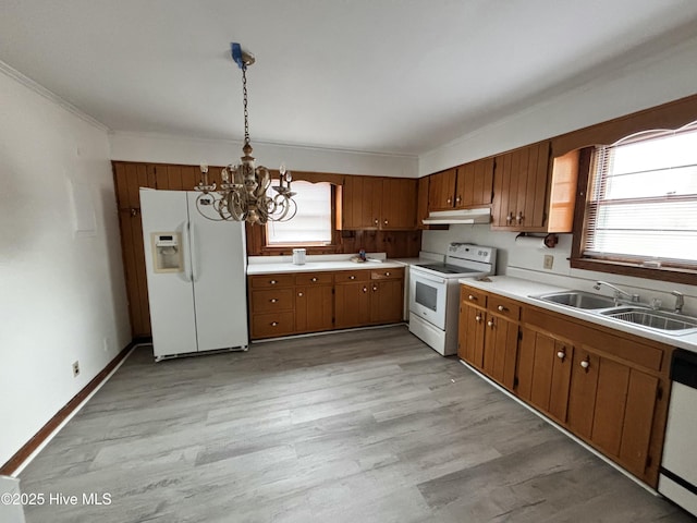 kitchen featuring white appliances, brown cabinets, light countertops, under cabinet range hood, and a sink