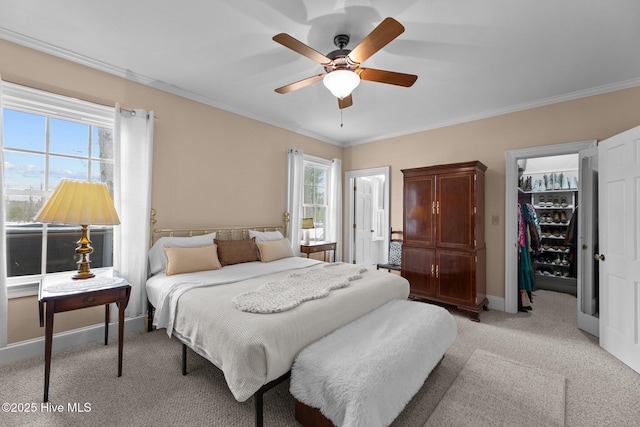 carpeted bedroom with a walk in closet, ornamental molding, a closet, and multiple windows